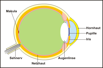 myopie astigmatismus presbyopie)