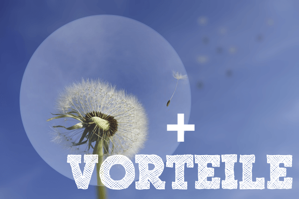 Vorteile